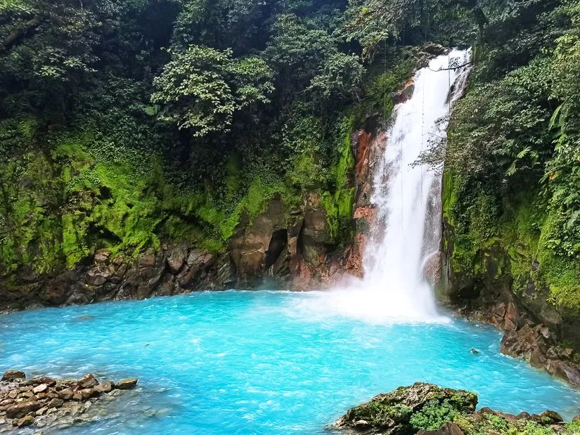 Lush Nature Eco-Walks